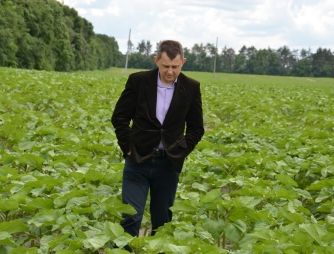An experiment with a potato growing on VIMAL-AGRO-342